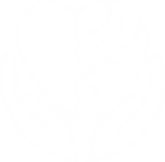 Logo von Therapeutin Nora Nöh, Kooperationspartner von 'Künstler für Künstler', repräsentiert durch ein Firmenlogo oder Porträt, symbolisch für die starke Partnerschaft und Zusammenarbeit im künstlerischen Sektor.